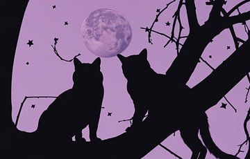 Two cats in a tree at night by Patricia Hofmeester