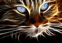 The cat in 3D light stripes