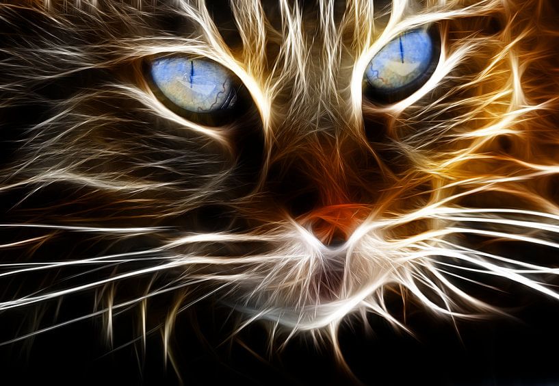 Le chat en bandes lumineuses 3D par Bert Hooijer
