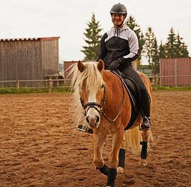 Training with the light brown Haflinger with beige mane