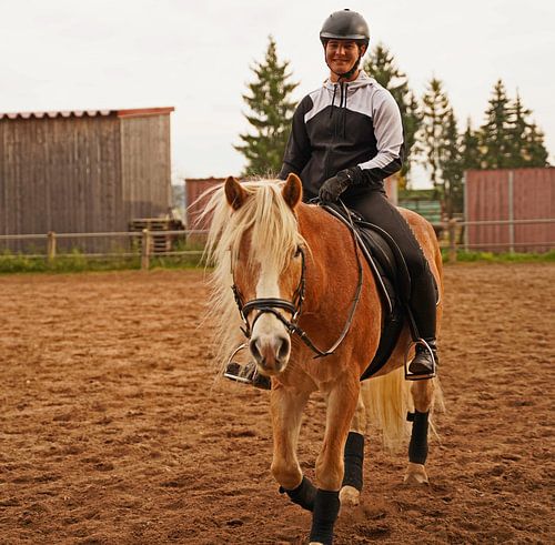 Training met de lichtbruine Haflinger met beige manen