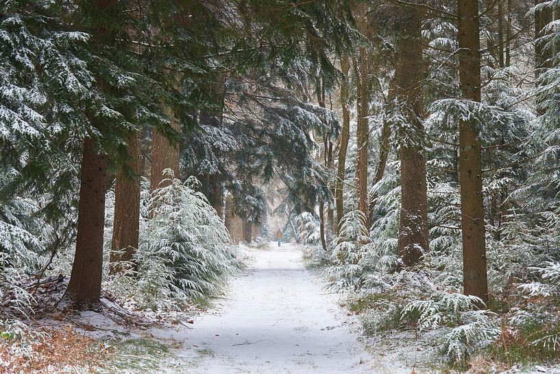 The hiker in the distance by Cor de Hamer