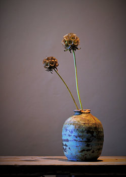 Vase avec une scabieuse étoilée