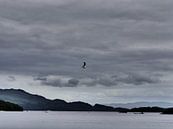 Lake Ambleside von Odette Kleeblatt Miniaturansicht