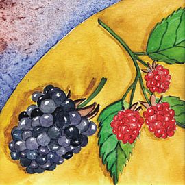 Himbeeren und Brombeere von Thomas Suske