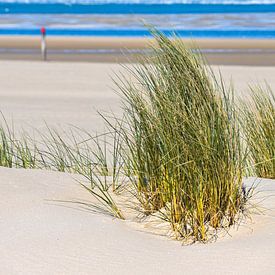Pieds nus dans le sable sur Dieverdoatsie Fotografie