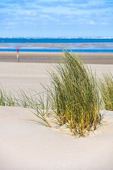 Nackte Füße im Sand