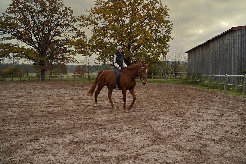 Training with the bay Oldenburg mare on a riding arena by Babetts Bildergalerie