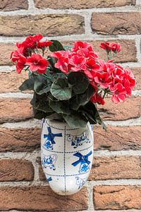 Hollandse klomp met Geranium