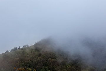 Mist trekt over de bergen
