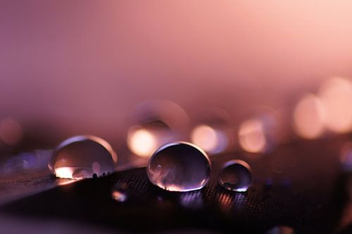 Purple drops