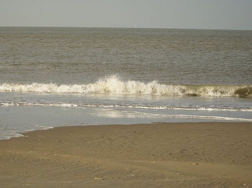 Golven aan zee