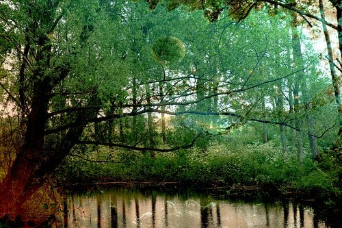 Bladbubbel in bos