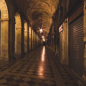 Venetie: druk overdag en in de avond sereen. van Sjoerd Grassere
