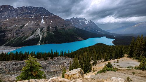 Lake Peyto in de Rocky Mountains
