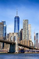 The big apple