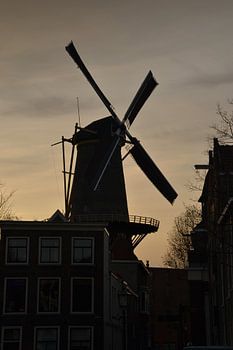 Windmühle De Walvisch in Schiedam