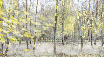 Frühlingsimpression mit Birken von Teuni's Dreams of Reality