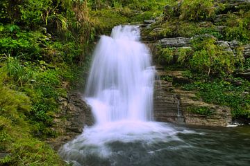 Wasserfall im Dschungel von Bart Nikkels