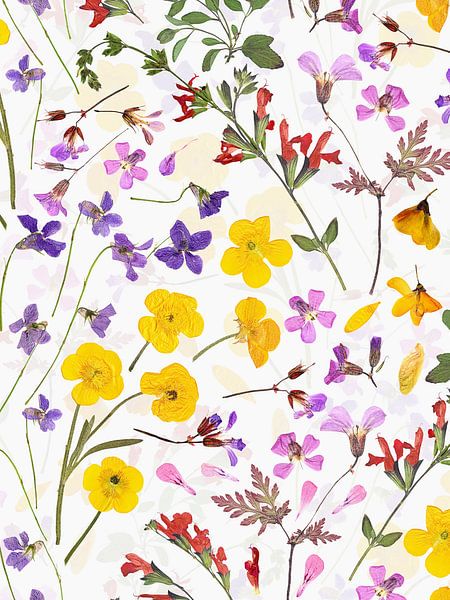 Midsummer pressed flowers meadow by Floral Abstractions