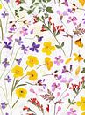 Mittsommer Gepresste Blüten Wiese von Floral Abstractions Miniaturansicht