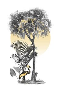 in Tropical Sun