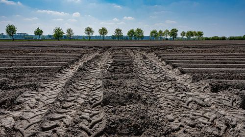 Traces dans le paysage