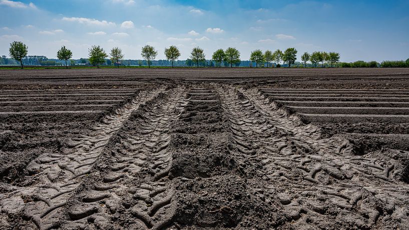 Spuren in der Landschaft von Jerry D'hoe
