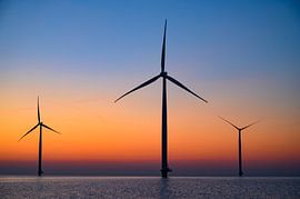 Windturbinen in einem Offshore-Windpark produzieren Strom