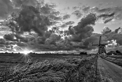 Moppemolen Rijpwetering