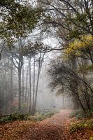 Autumn