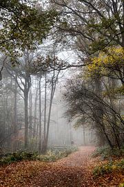 Autumn by Henk Mannes
