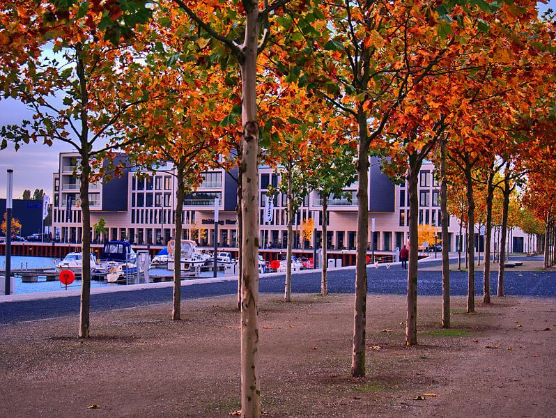 Hafenherbst van Edgar Schermaul