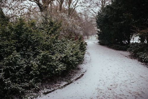 Noorderplantsoen Groningen in de winter - fotografie print