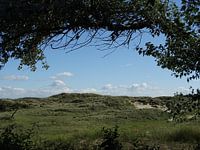 Natuurfoto Katwijk