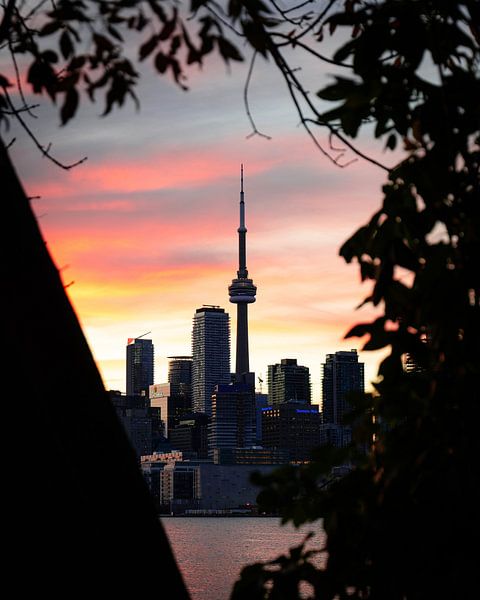 Toronto by Hello Pompoyo