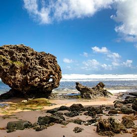 Barbados von AidasignArt