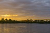 USA, Florida, Warm evening sun light on highway bridge with traffic behind green plants and water by adventure-photos thumbnail