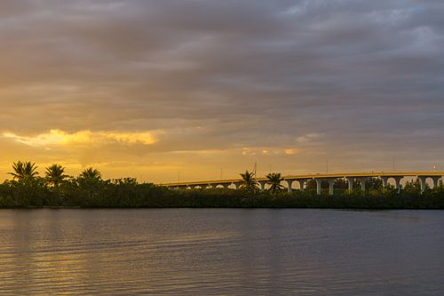 Verenigde Staten, Florida, Warm avondzonlicht op snelwegbrug met verkeer achter groene planten en water