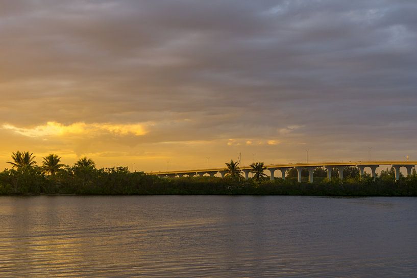 USA, Florida, Warm evening sun light on highway bridge with traffic behind green plants and water by adventure-photos