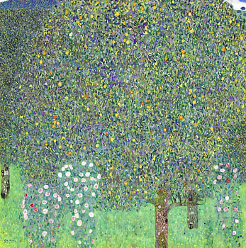 Blühender Wiesenbaum