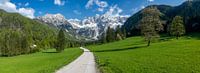Zgornje Jezersko vallei in de lente van Sjoerd van der Wal Fotografie thumbnail