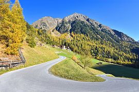 Automne coloré au-dessus de l'Ötztal. sur Andreas Föll
