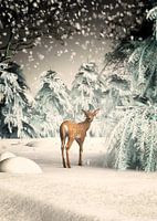 Kerstmis als het bos magisch is