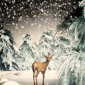 Weihnachten, wenn der Wald magisch ist von Jan Keteleer