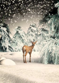 Christmas when the forest is magical