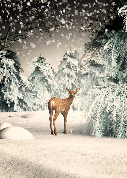 Kerstmis als het bos magisch is van Jan Keteleer