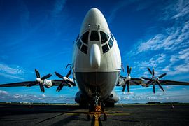 Antonov AN 22 by Rik Provost