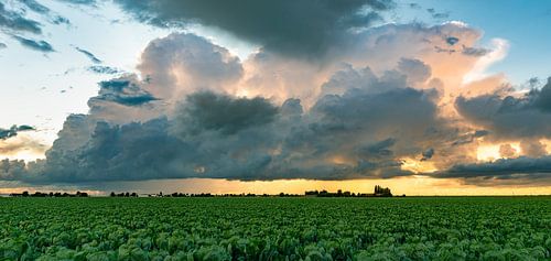 Coucher de soleil avec nuage d'orage sur un vaste paysage