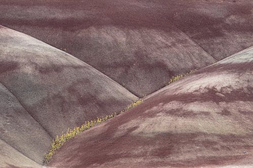 Beschilderde heuvels in het John Day Fossil Beds National Monument bij Mitchell City, Wheeler County